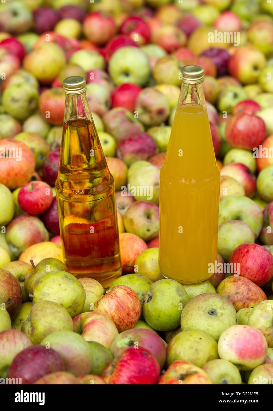 Illustration Two bottles of apple juice stand in a container full of
