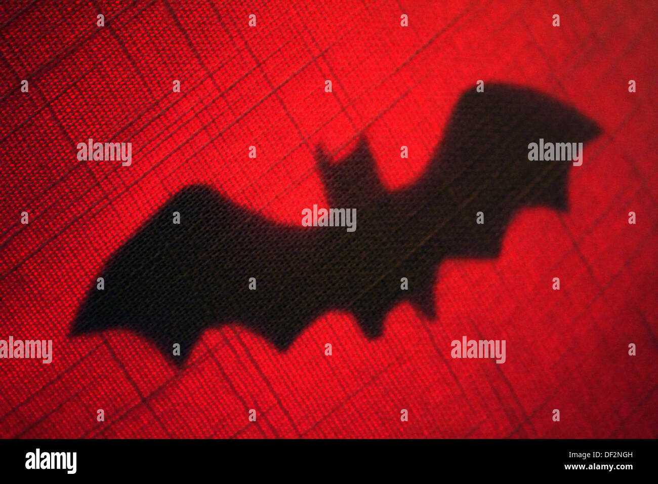 outline of Bat Stock Photo