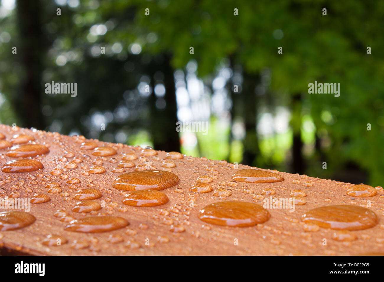 Water beading and puddling up, on a recently stained deck railing