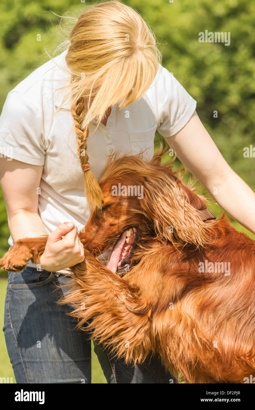 Dog owner cuddling with his irish setter Stock Photo