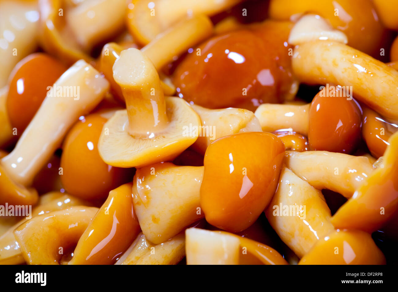 Marinaded mushrooms close up Stock Photo