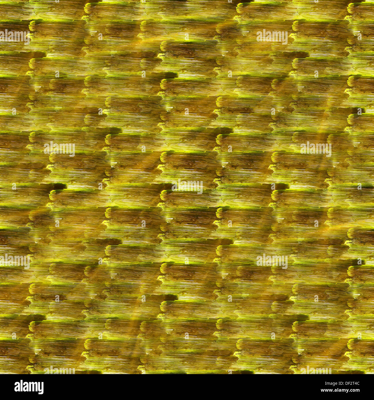 sunlight seamless texture watercolor wallpaper green background Stock ...