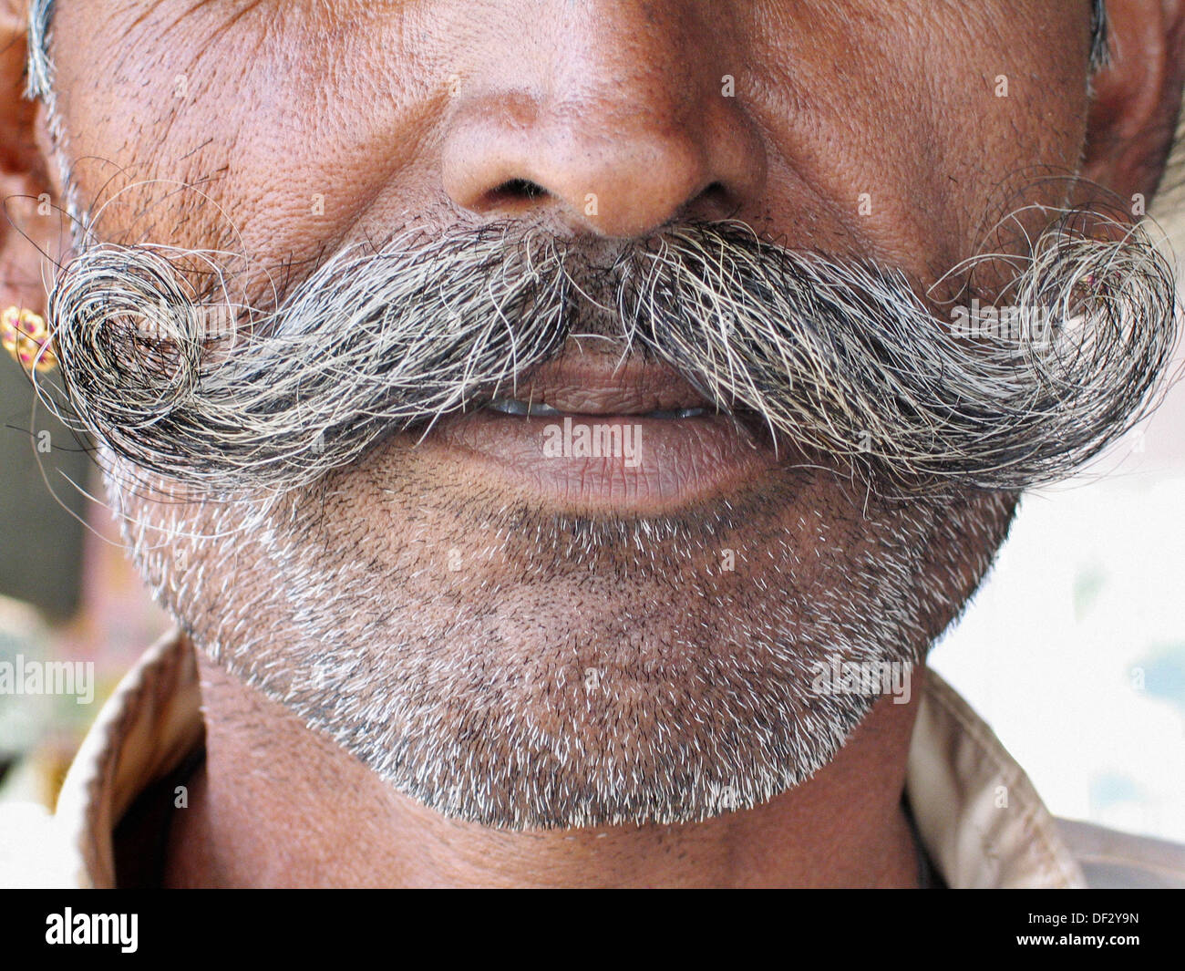 Rajasthan´s moustache. India Stock Photo Alamy