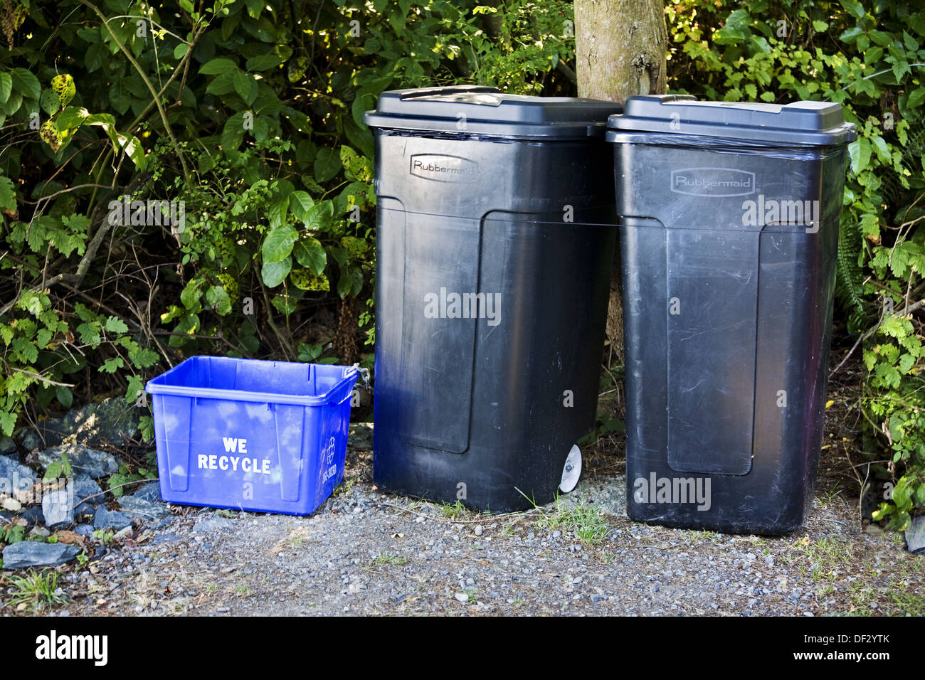 Recycling and garbage cans in front of a house Stock Photo Alamy