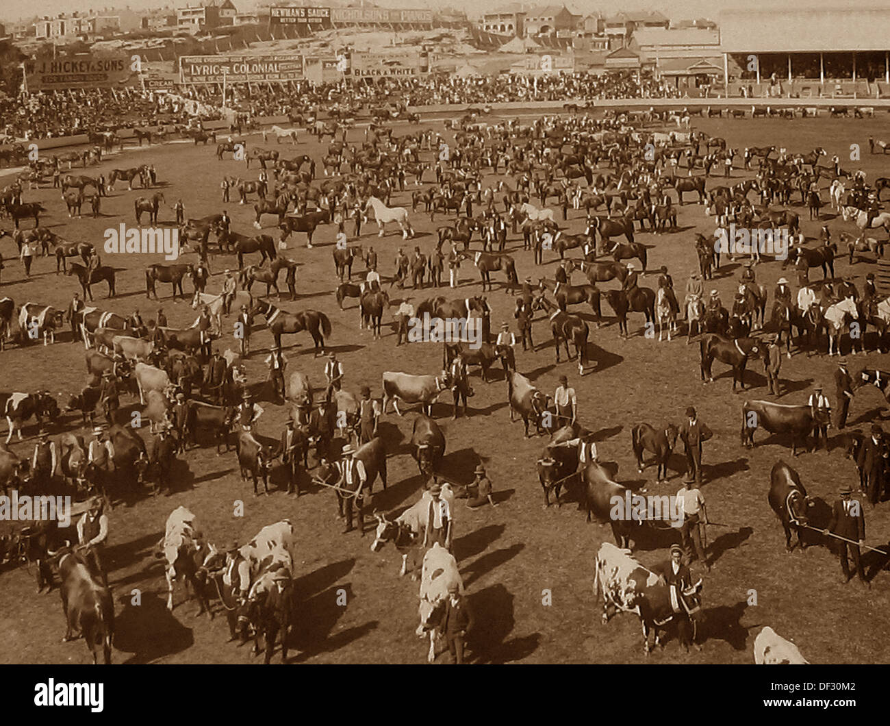 The Royal Agricultural Show Hi res Stock Photography And Images Alamy