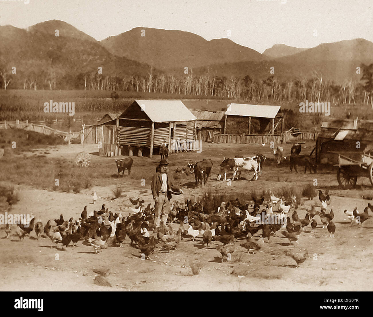 settlers-farming-hi-res-stock-photography-and-images-alamy