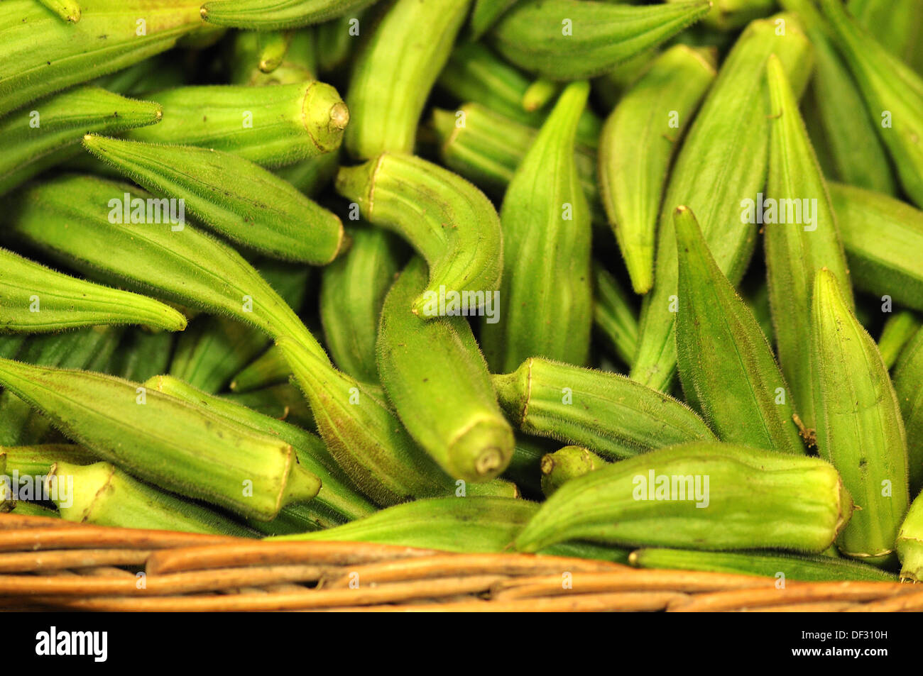 Nutrition, food okra Stock Photo Alamy