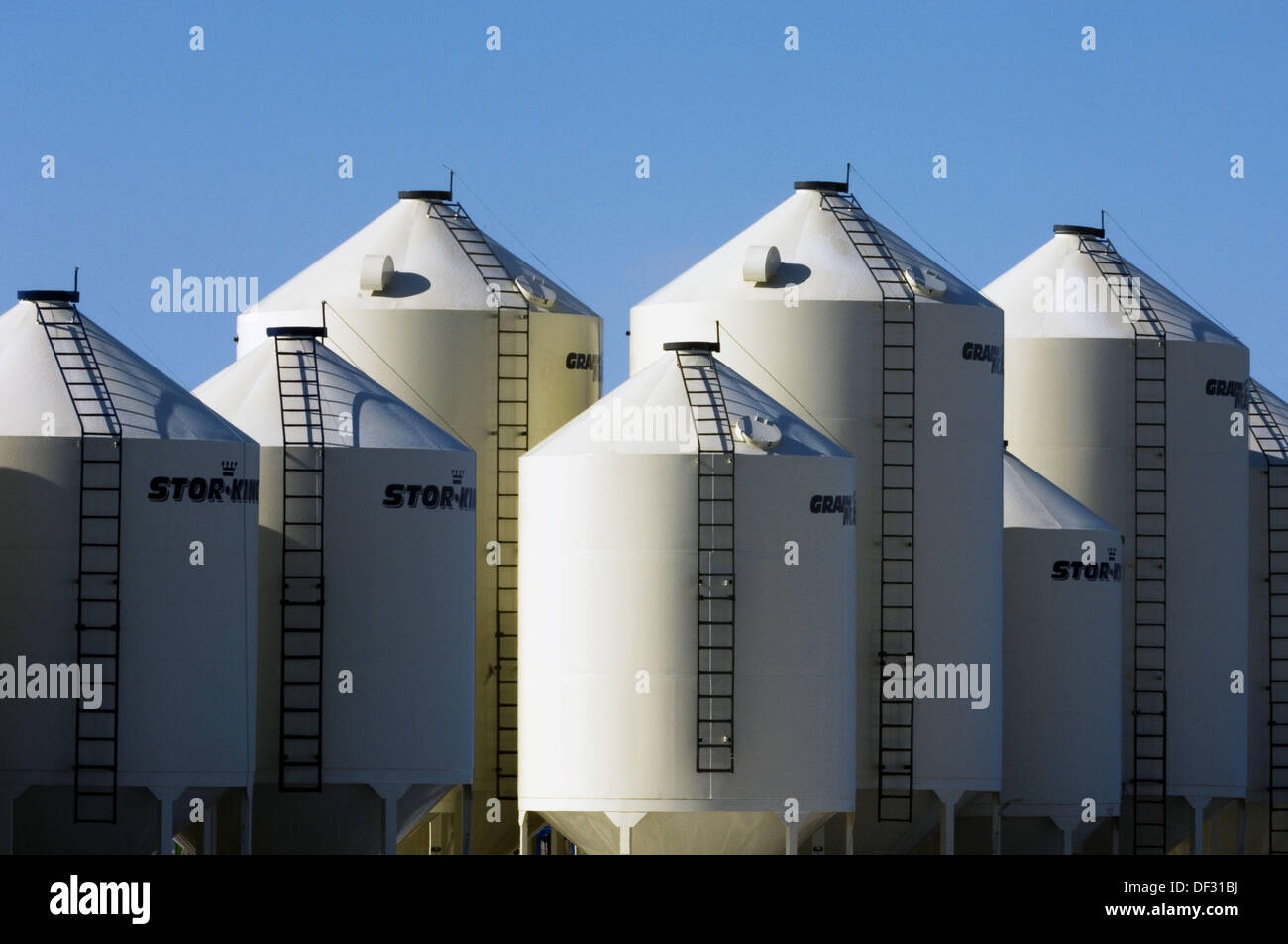 Storage bins and agricultural equipment. Saskatchewan, Canada Stock