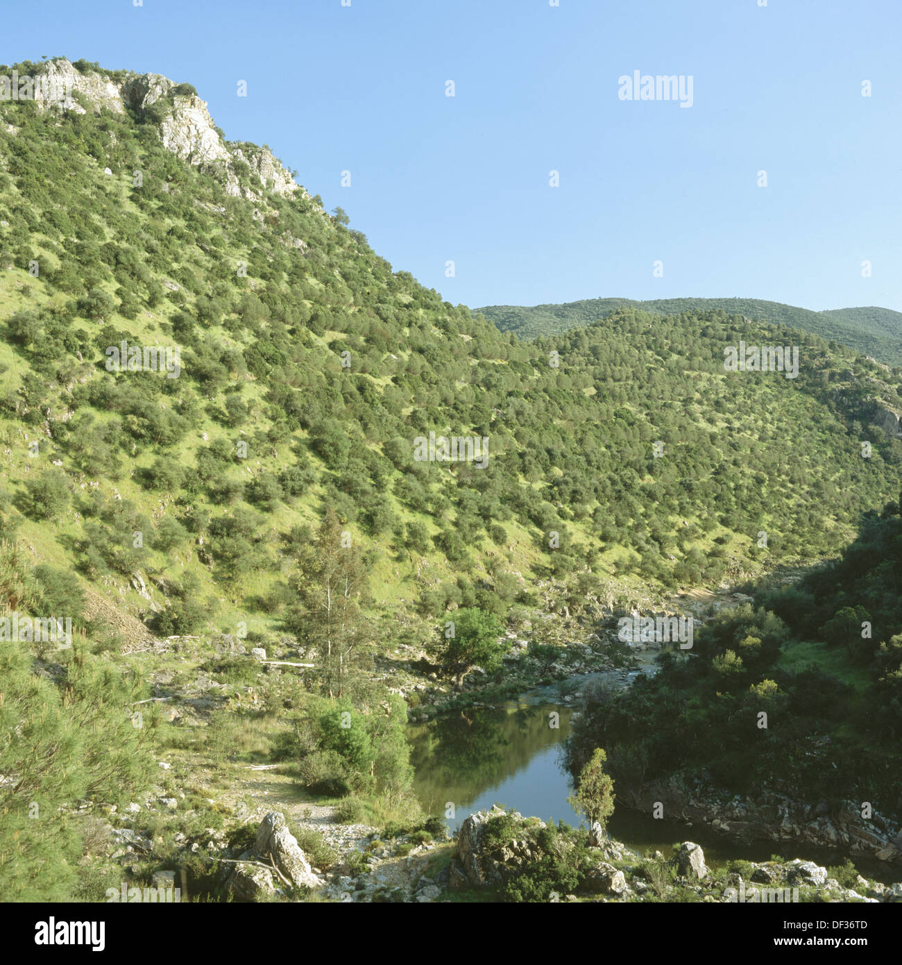 Parque Natural Sierra de Hornachuelos, Córdoba province, Spain Stock
