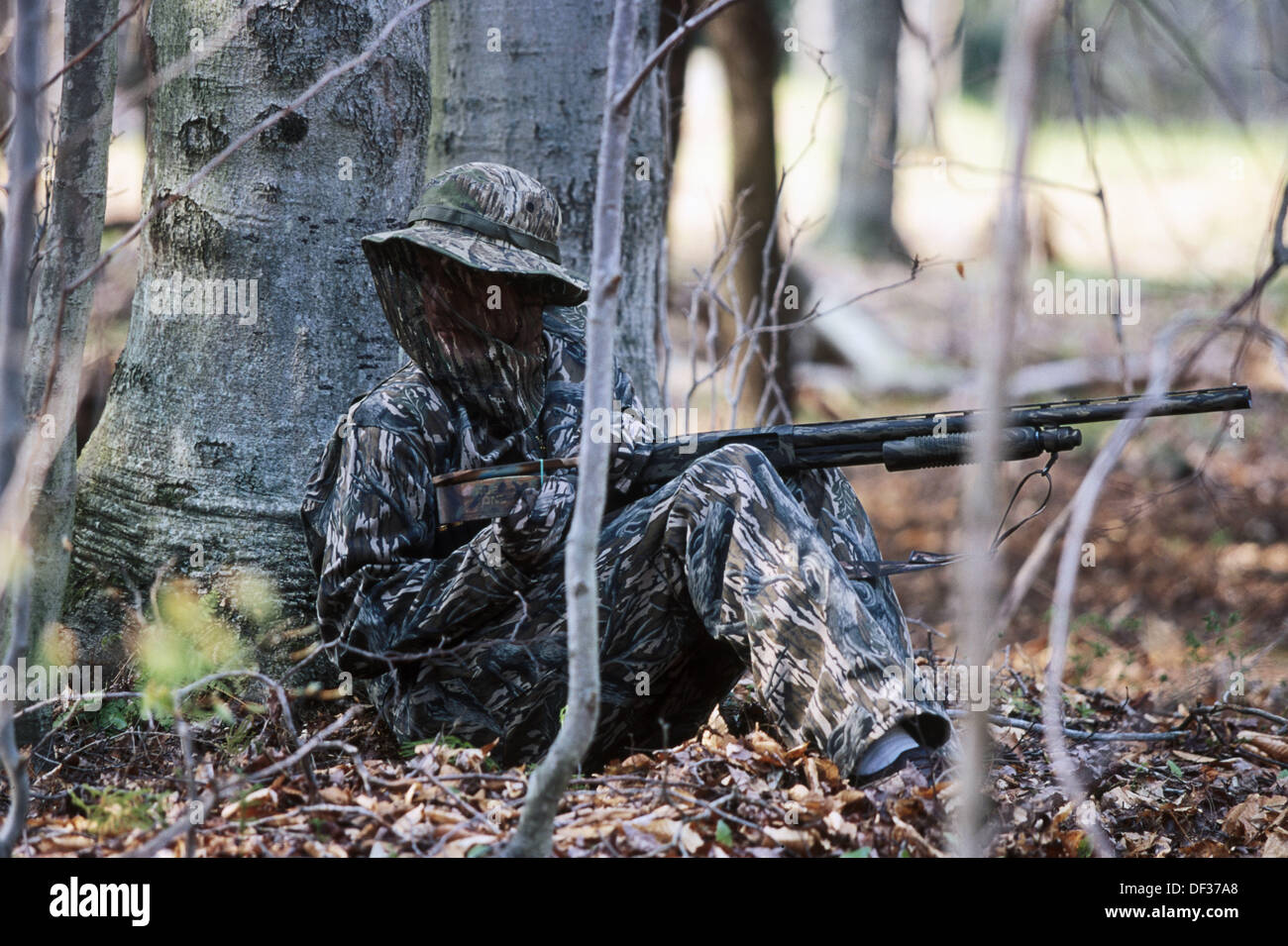 Turkey hunting in spring. Pennsylvania, USA Stock Photo Alamy
