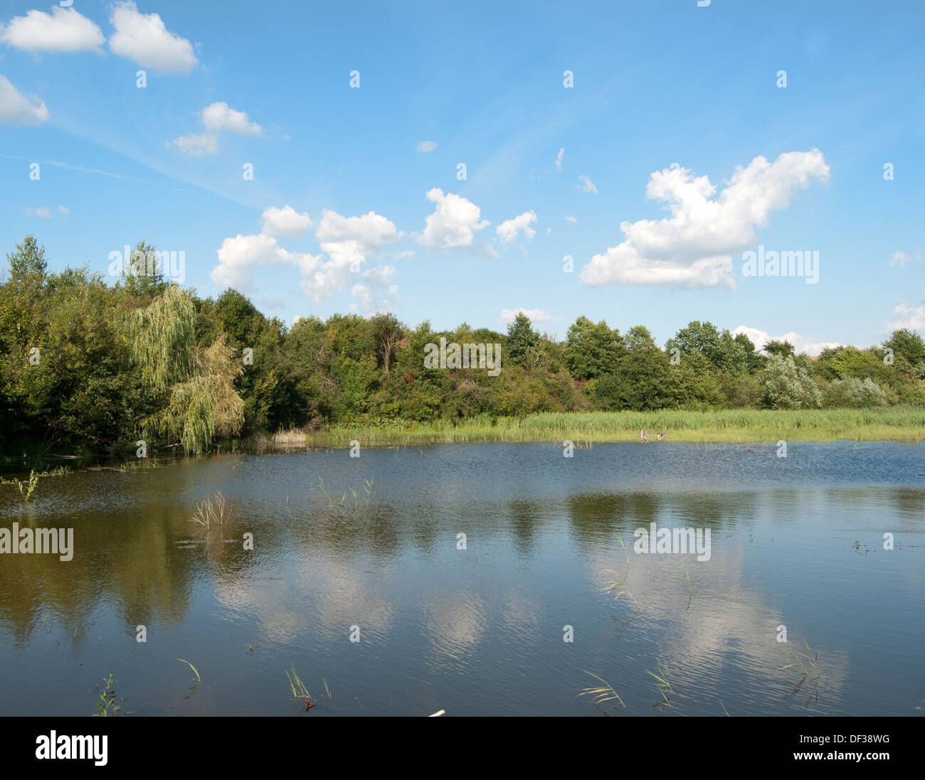small lake amongst the woods, cloudy summer sky Stock Photo