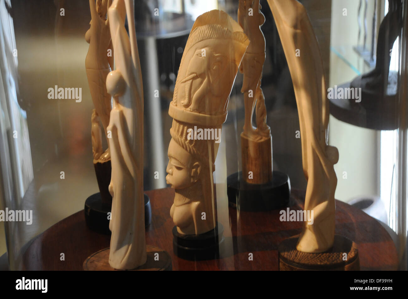 The forced relocation of Africans from Africa to the Americas and the