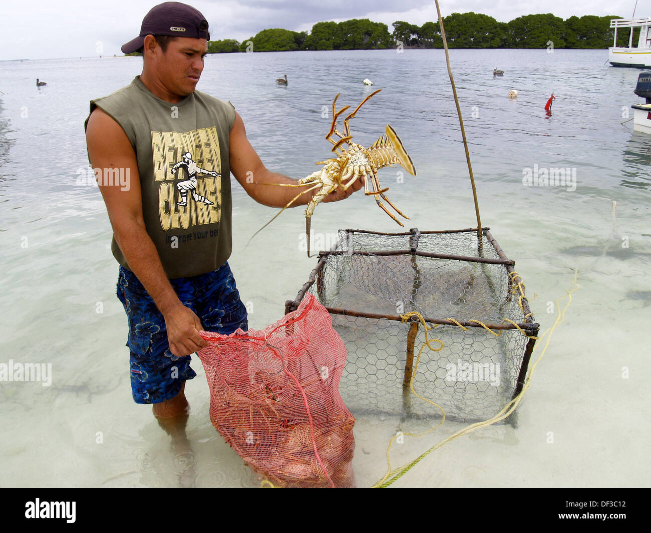Lobster catcher hires stock photography and images Alamy