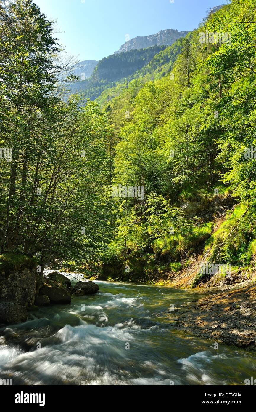 Rio arazas hires stock photography and images Alamy