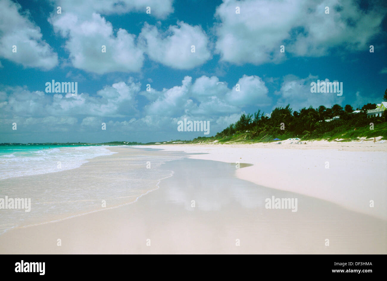 Beach in Harbour Island. Bahamas Stock Photo Alamy
