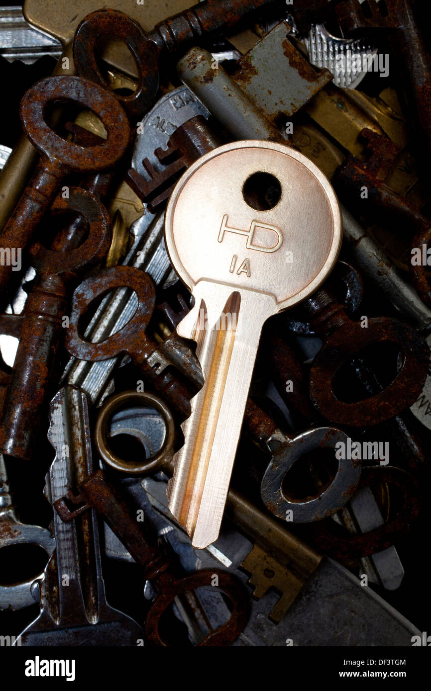 shiny,brand,new,key,on,top,of,old,rusty,old,keys, Estate Agent, Rental,rent,landlord,property,house,office,Yale,1, Stock Photo