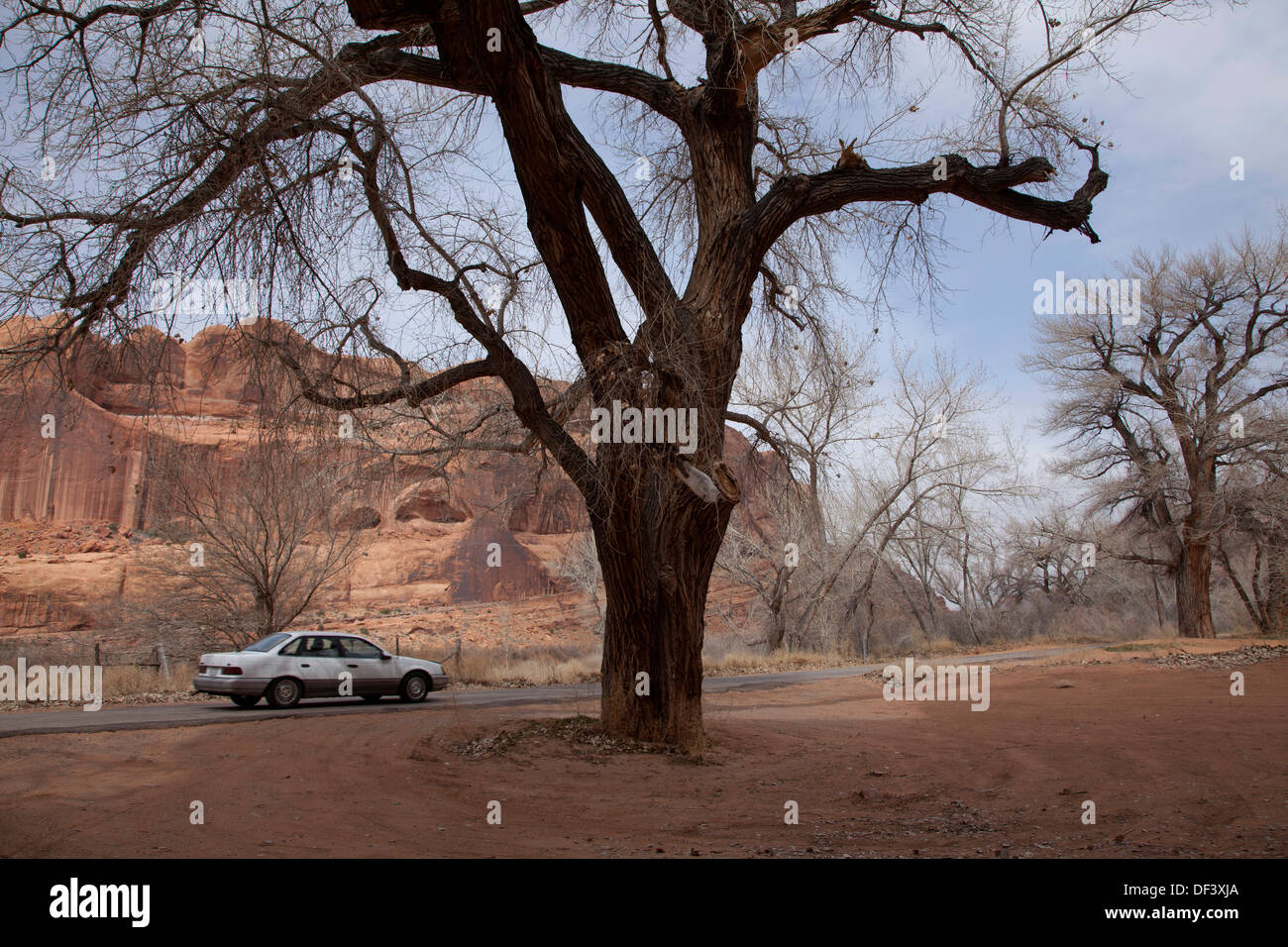Car driving along the Colorado River downstream from Moab, Utah. Stock Photo