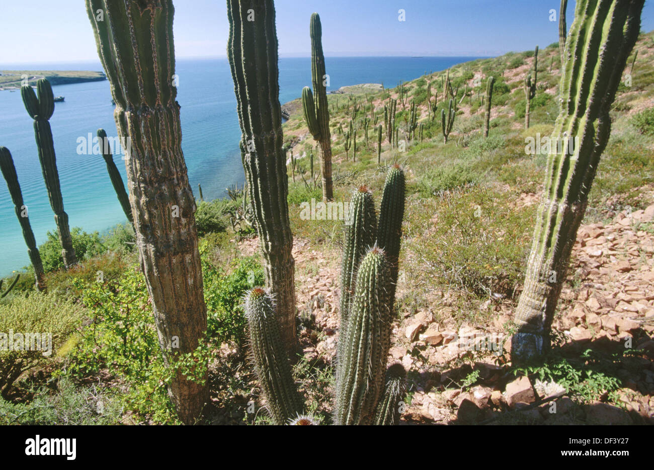 Ship la paz hi-res stock photography and images - Alamy