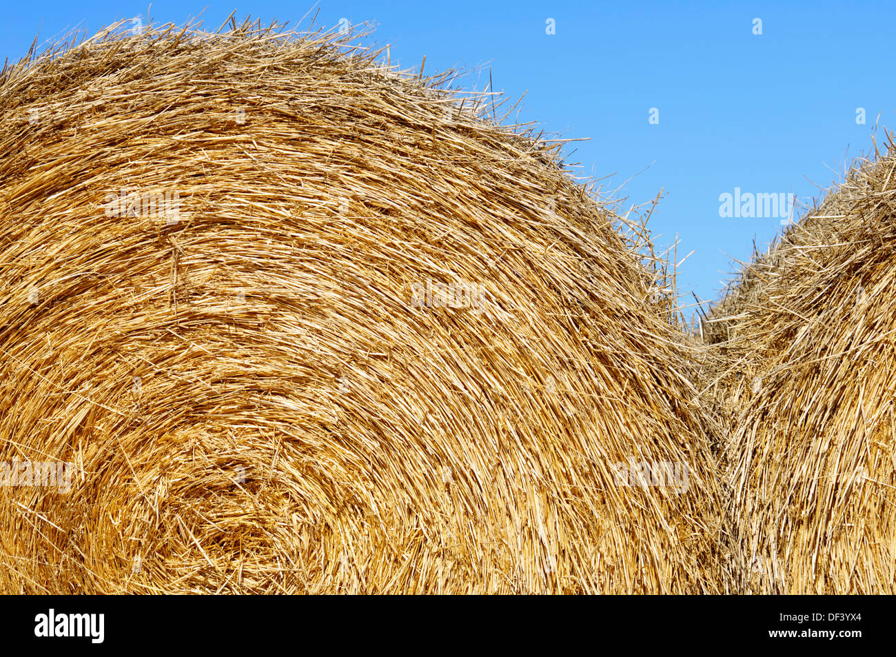 round bale of straw with blue and clear sky Stock Photo - Alamy