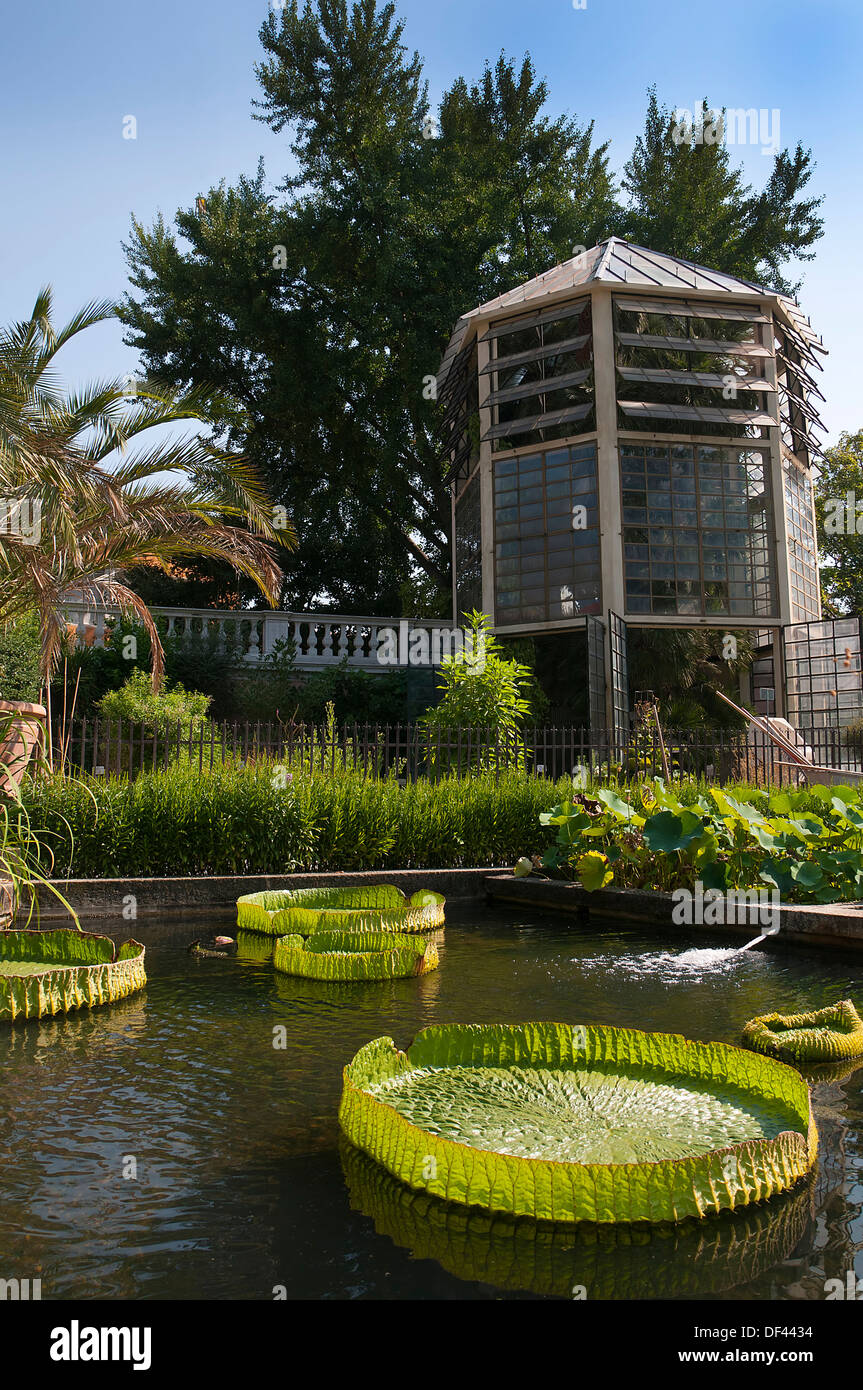 Greenhouse And Lily Pond In The Botanical Gardens In Padua Italy