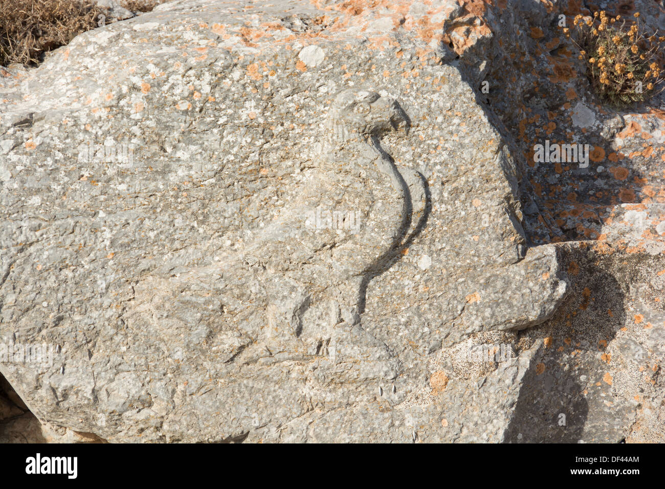 SANTORINI (THIRA), CYCLADES, GREECE. Rock carving of an eagle at the Sanctuary of Artemidoros in Ancient Thera. Stock Photo