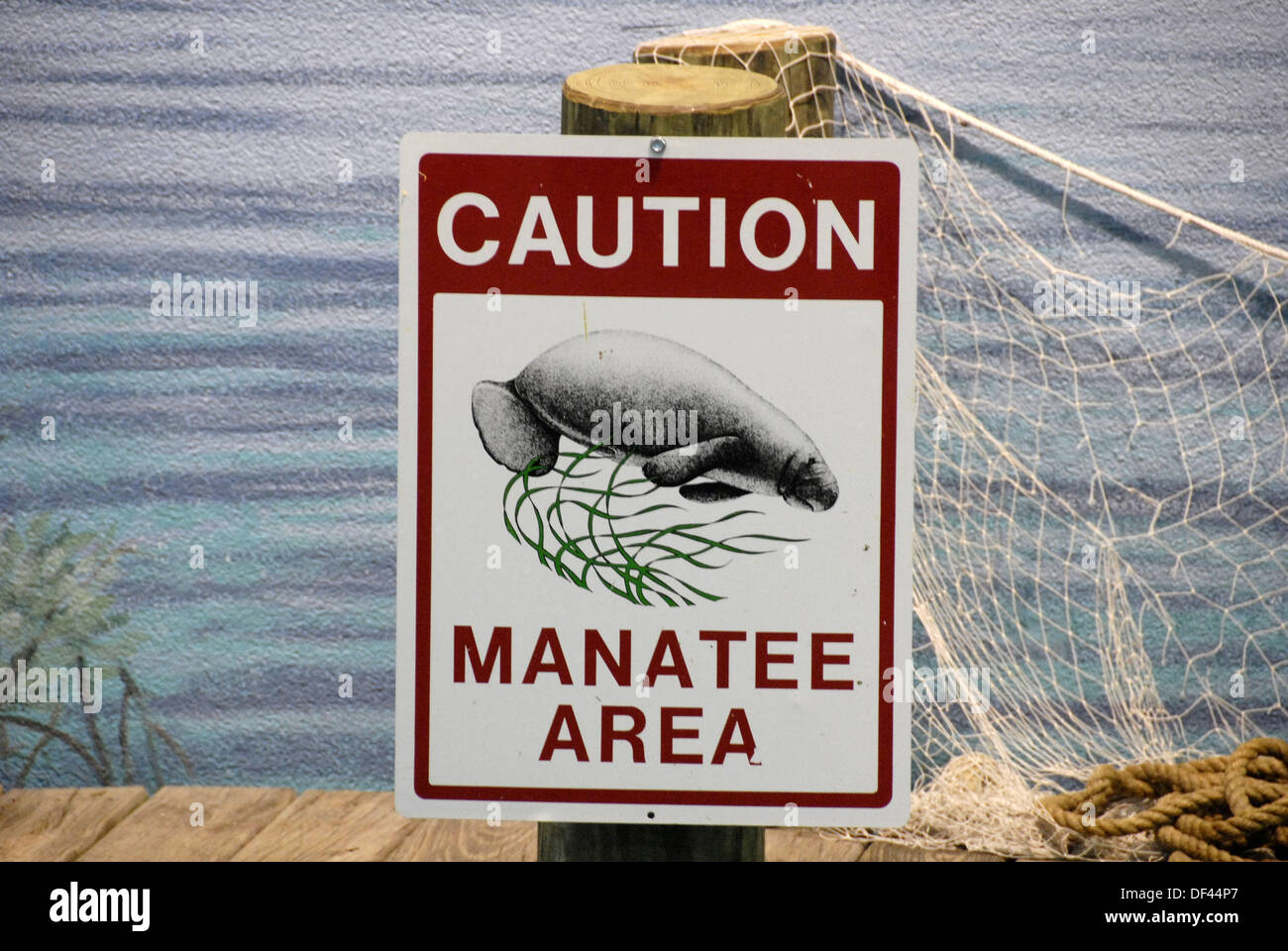 South Florida Museum and and Parker Manatee Aquarium located in downtown