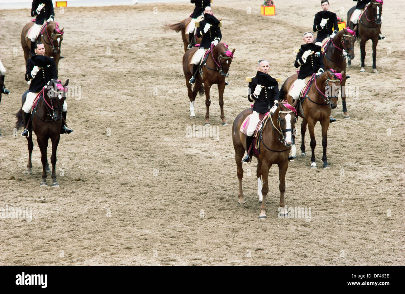 The Carrousel, Cadre Noir Cavalry Academy. Saumur. Val de Loire, France Stock Photo