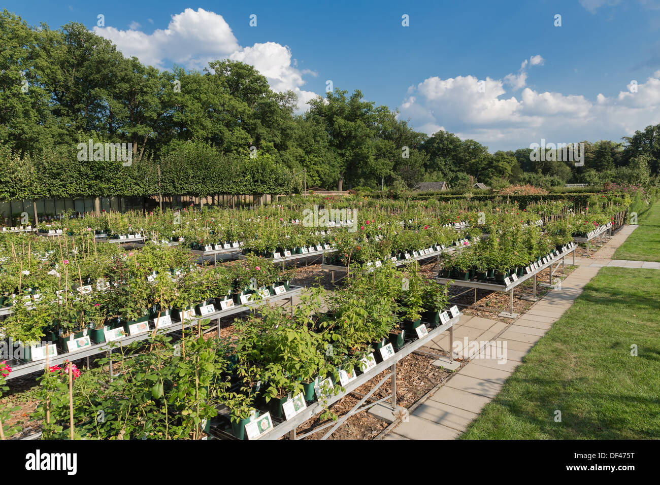 Dutch garden centre selling plants Stock Photo Alamy