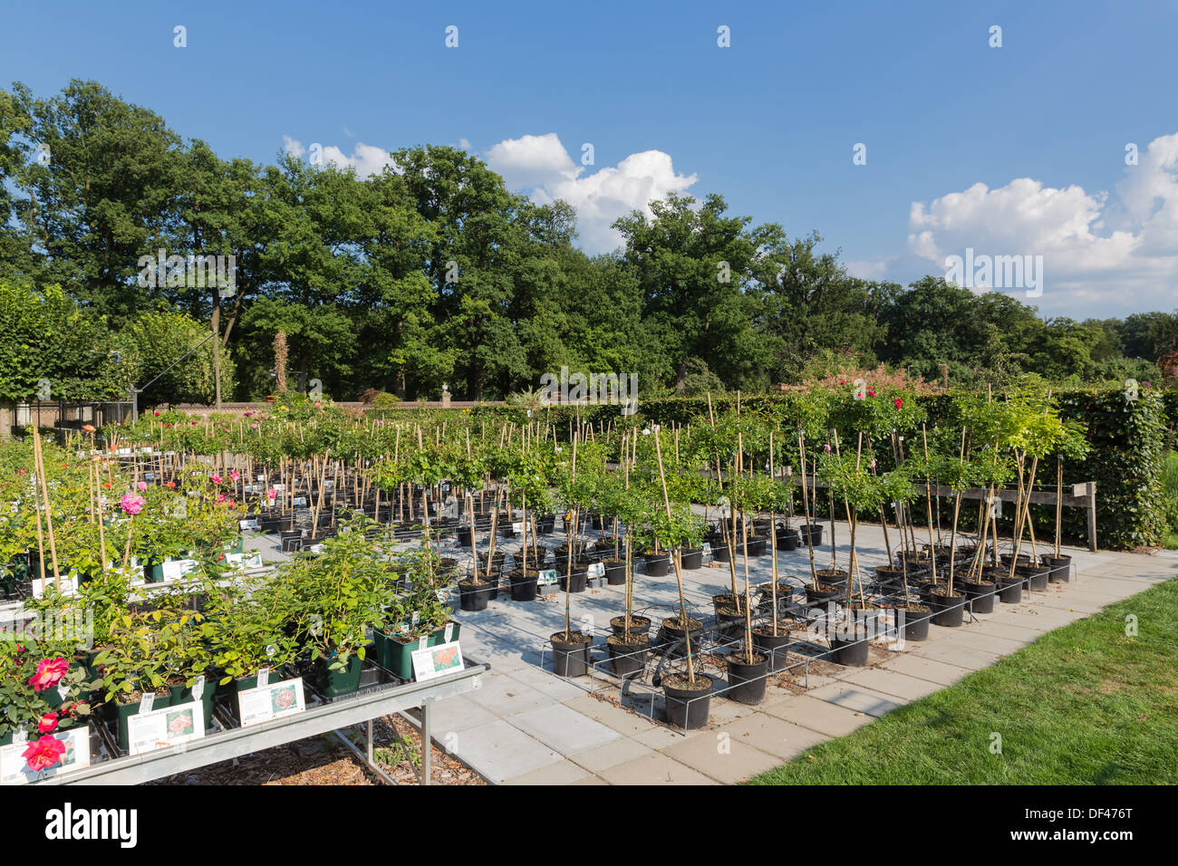 Dutch garden centre selling plants Stock Photo