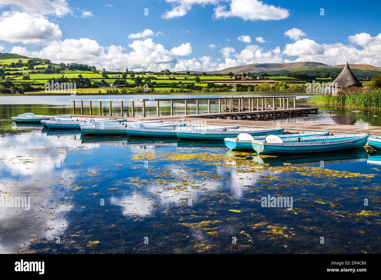 Rowing boats moored at Llangors Lake in the Brecon Beacons National Park, Wales with the crannog on the far right. Stock Photo