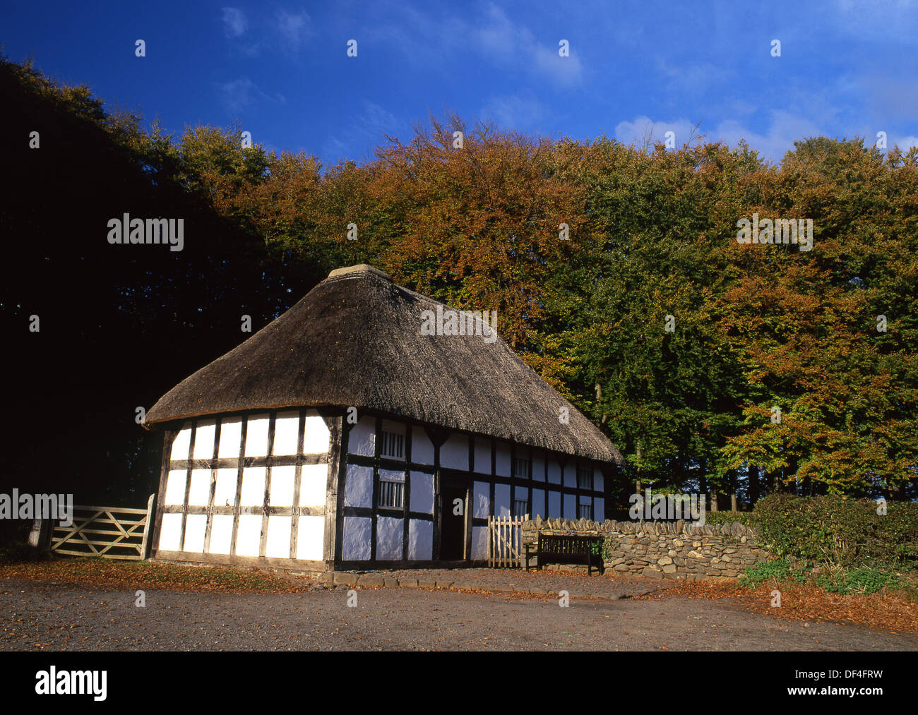 Abernodwydd Farmhouse in autumn National History Museum St Fagans Cardiff South Wales UK Stock Photo