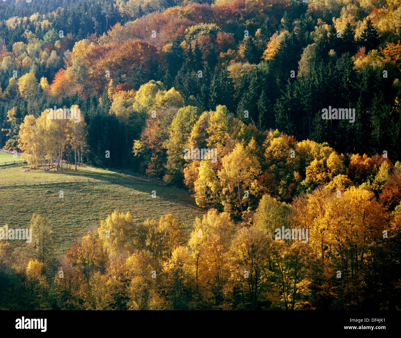 Autumn In Sudety Mountains Stock Photo - Alamy