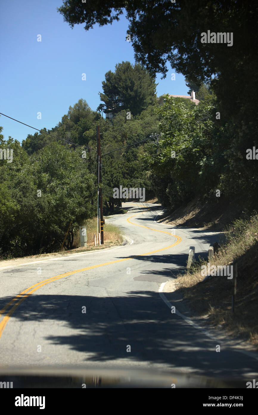 Winding Road and Trees, Mulholland Drive, Los Angeles, California, USA 