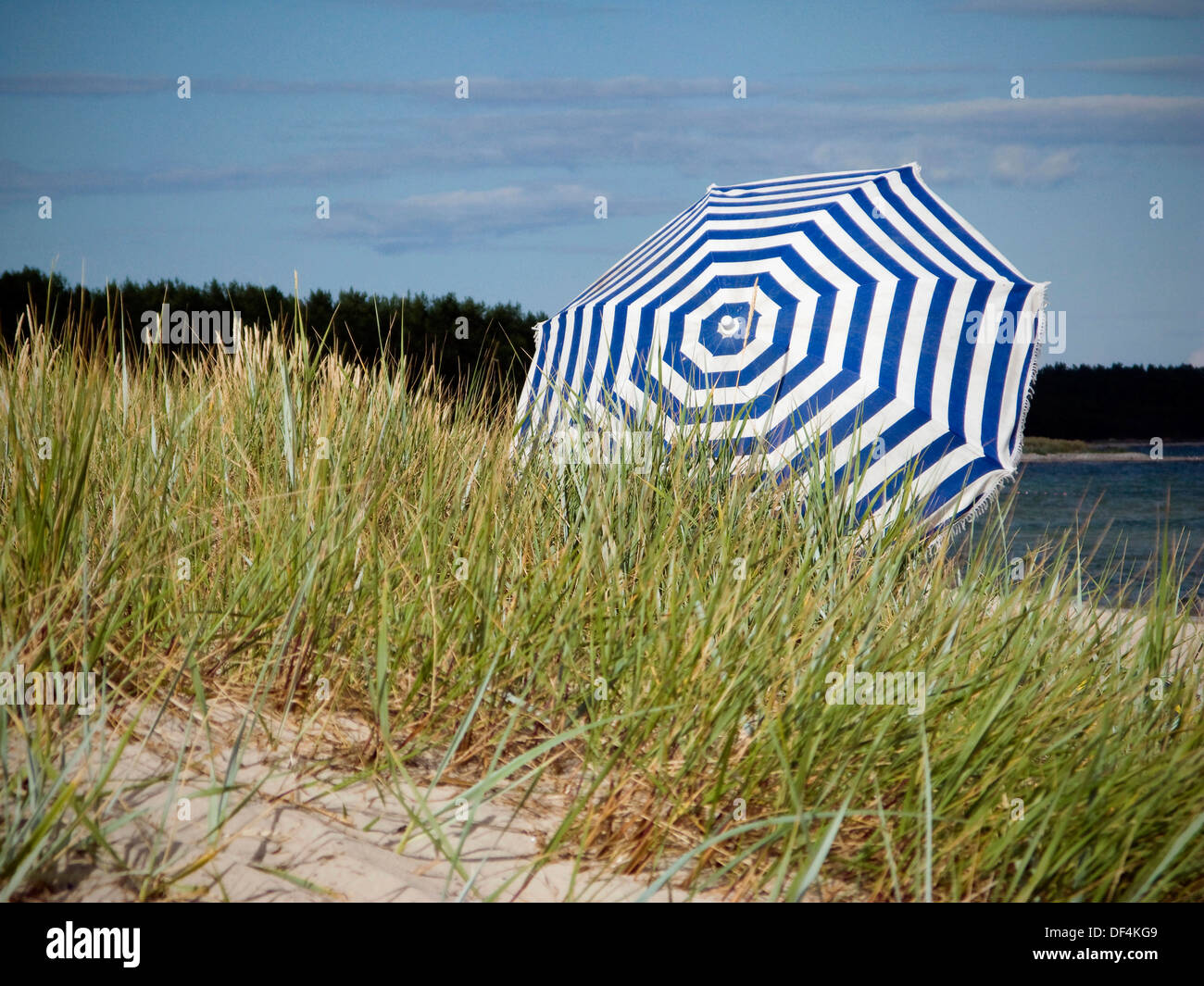 Blue Striped Umbrella on Grassy Dune at Beach Stock Photo