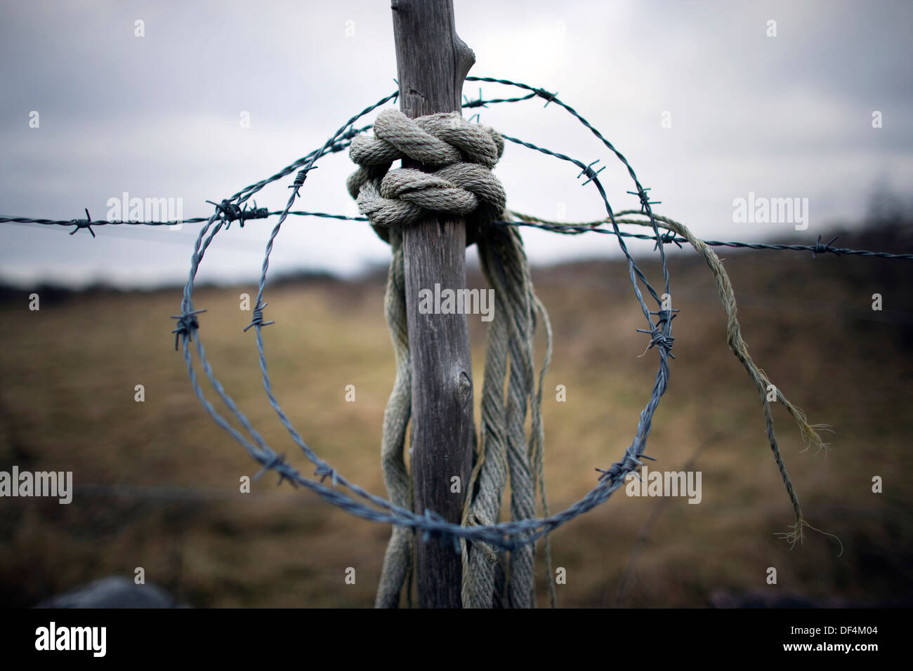 Coil of Barbed Wire and Rope on Barbed Wire Fence Stock Photo Alamy