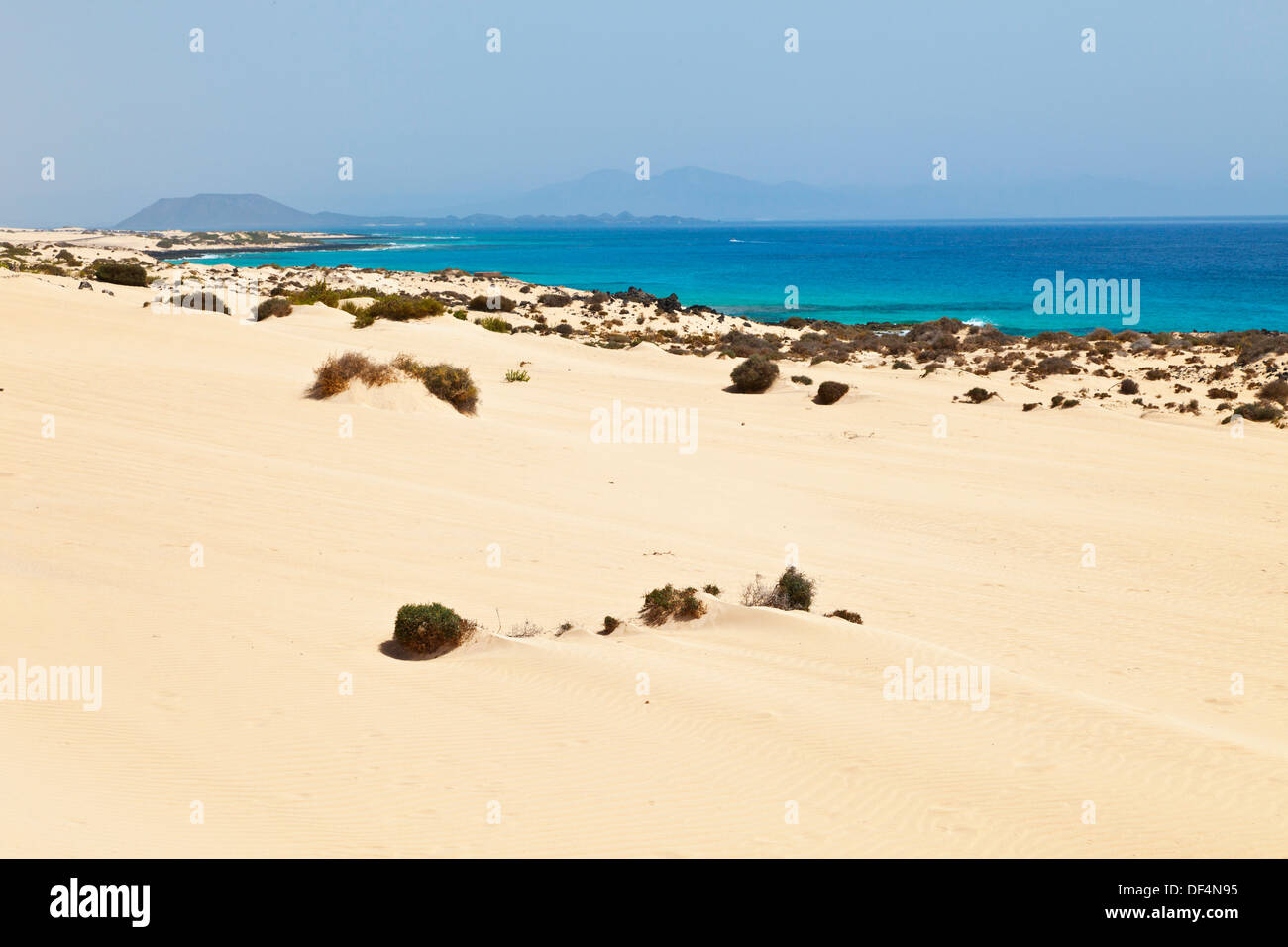 Northeastern coast, Corralejo Natural Park, Fuerteventura, Las Palmas,  Canary Islands, Spain Stock Photo - Alamy