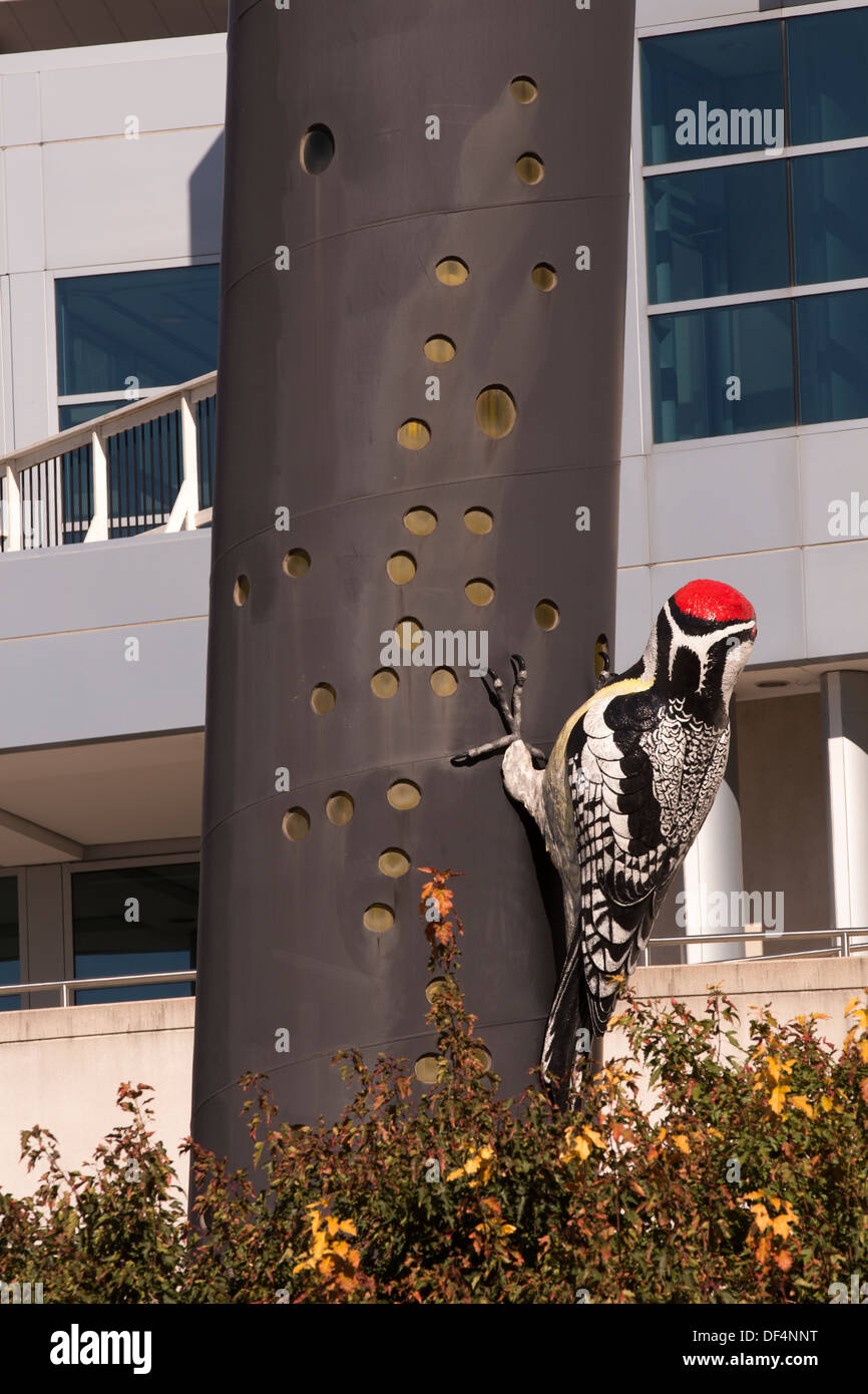 Sculpture of a ladder backed woodpecker on pole in a park in front of the Metropolitan Toronto Convention Centre Stock Photo