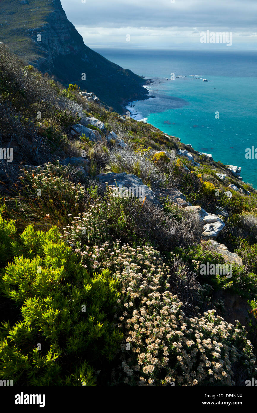 Cape Point, False Bay, South Africa Stock Photo Alamy