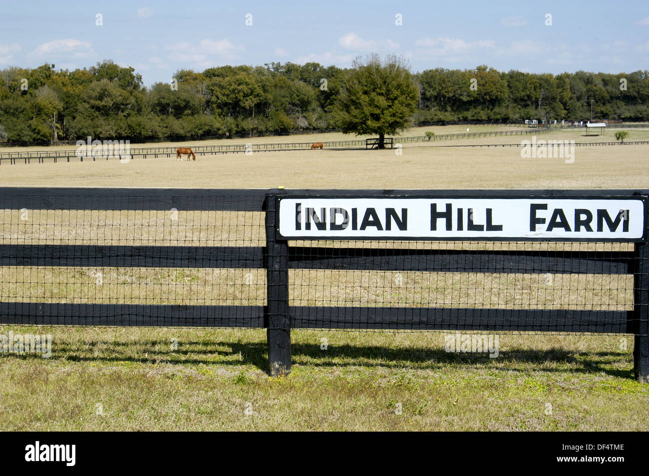 Horse farming area of Ocala, Florida. USA Stock Photo Alamy