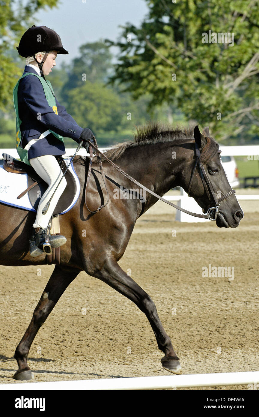 Equestrian event held at Kentucky Horse Park Lexington KY Stock Photo