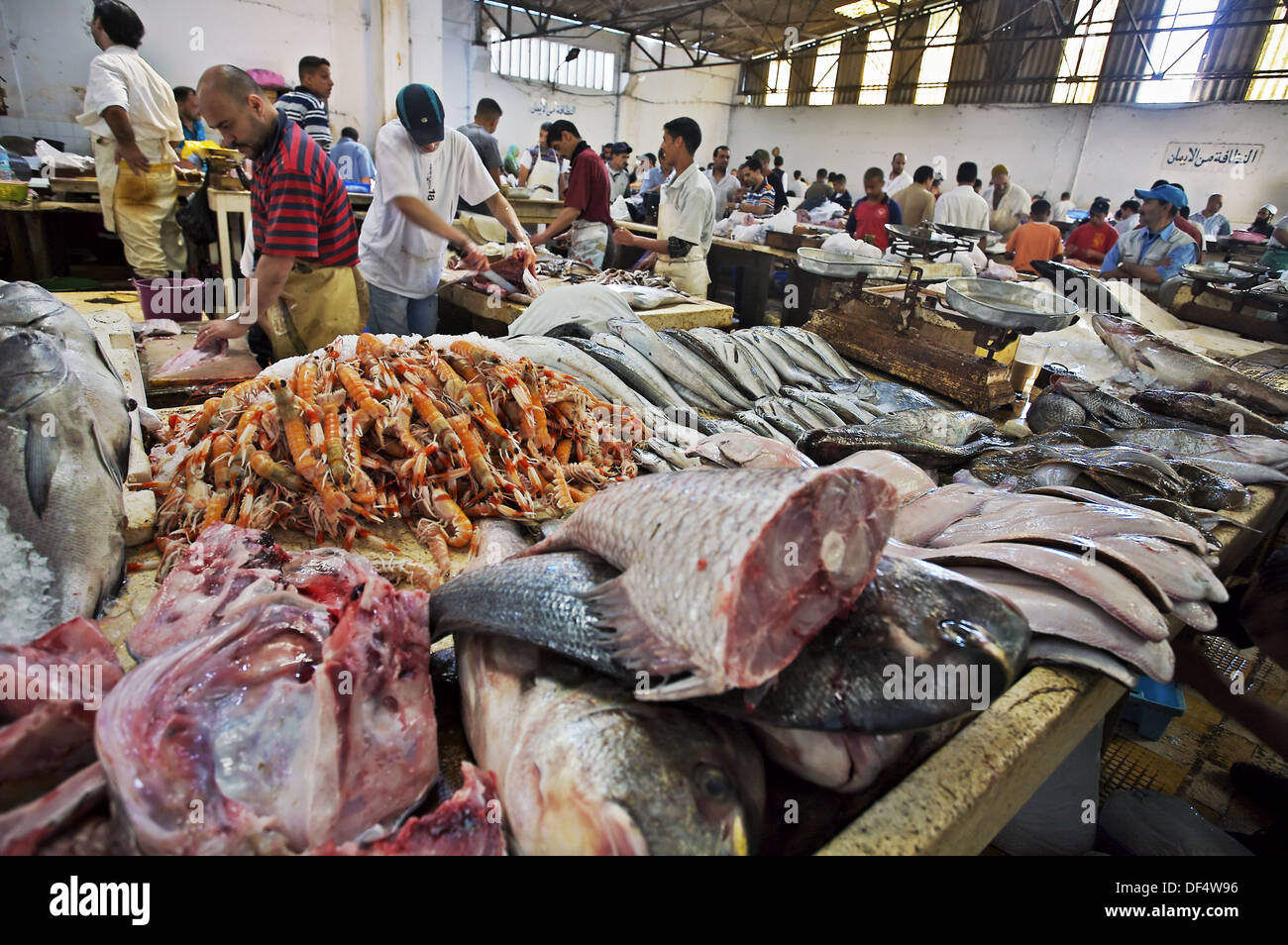Fish Market. Tangier. Morocco Stock Photo Alamy