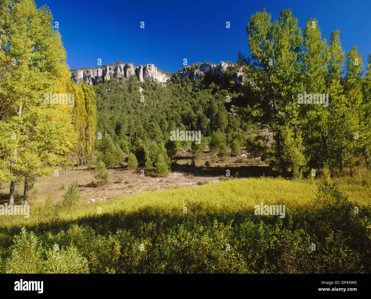 Page 2 - Canizares High Resolution Stock Photography and Images - Alamy