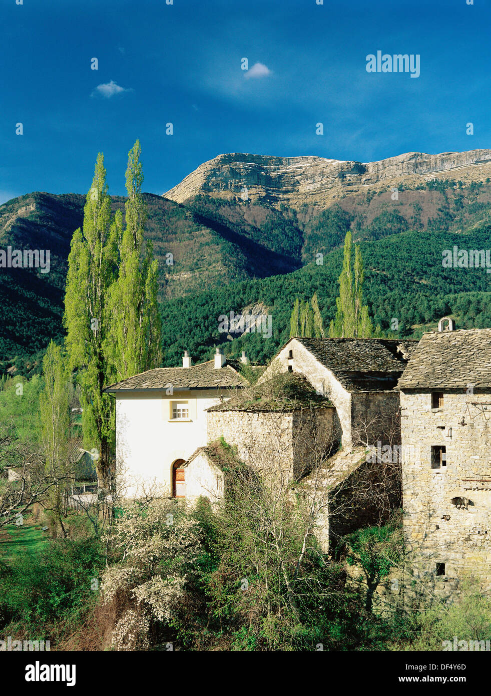 Fiscal in Ara Valley. Huesca province. Aragon, Spain Stock Photo - Alamy