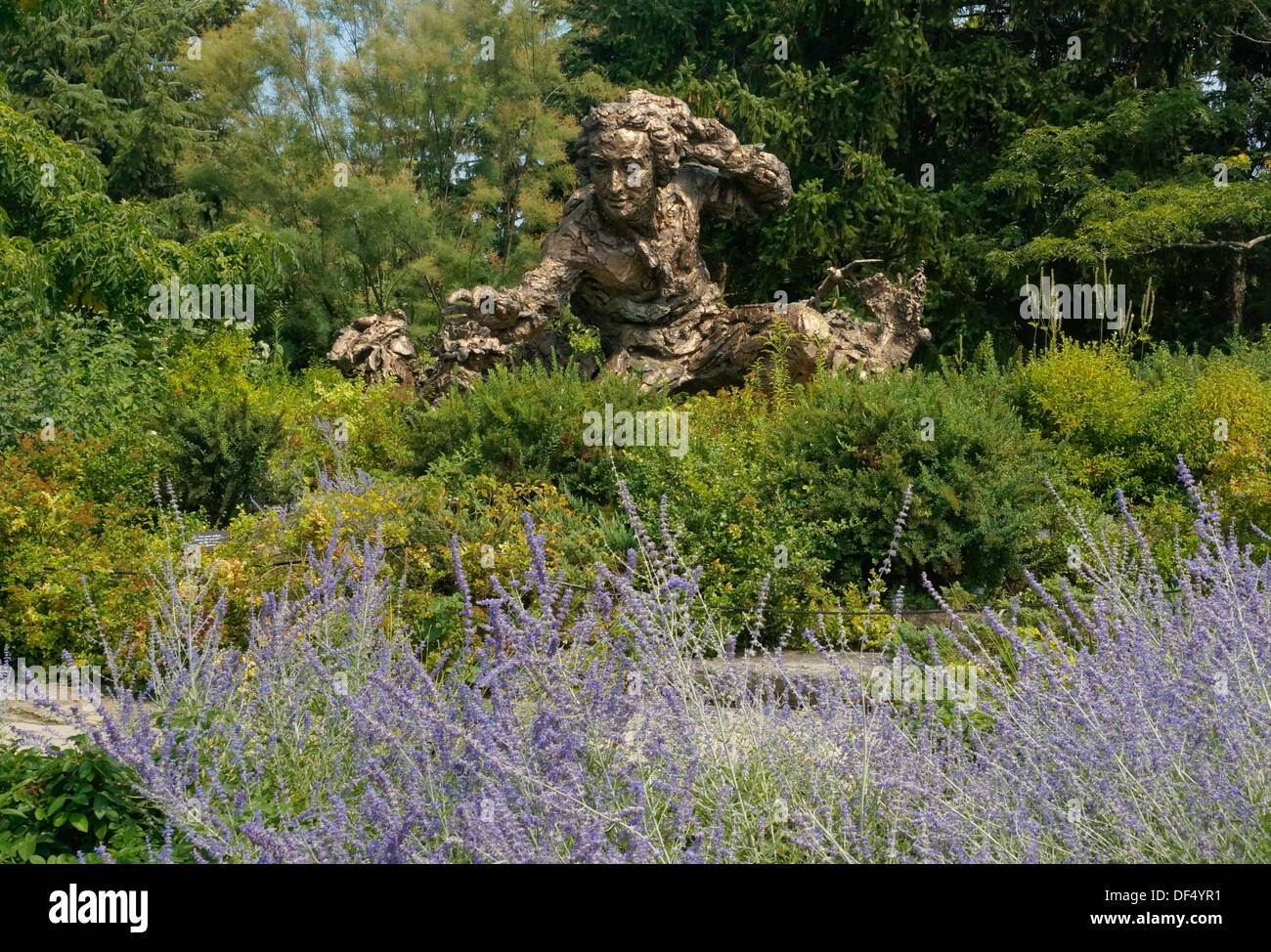 Carl Linnaeus (Carl von Linné) sculpture in the Heritage Garden at the Chicago Botanic Garden. Stock Photo