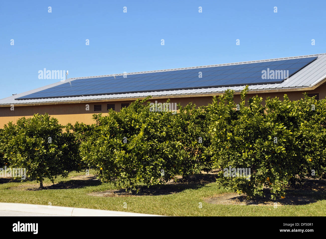 Solar panels on roof of citrus plant central Florida Stock Photo Alamy