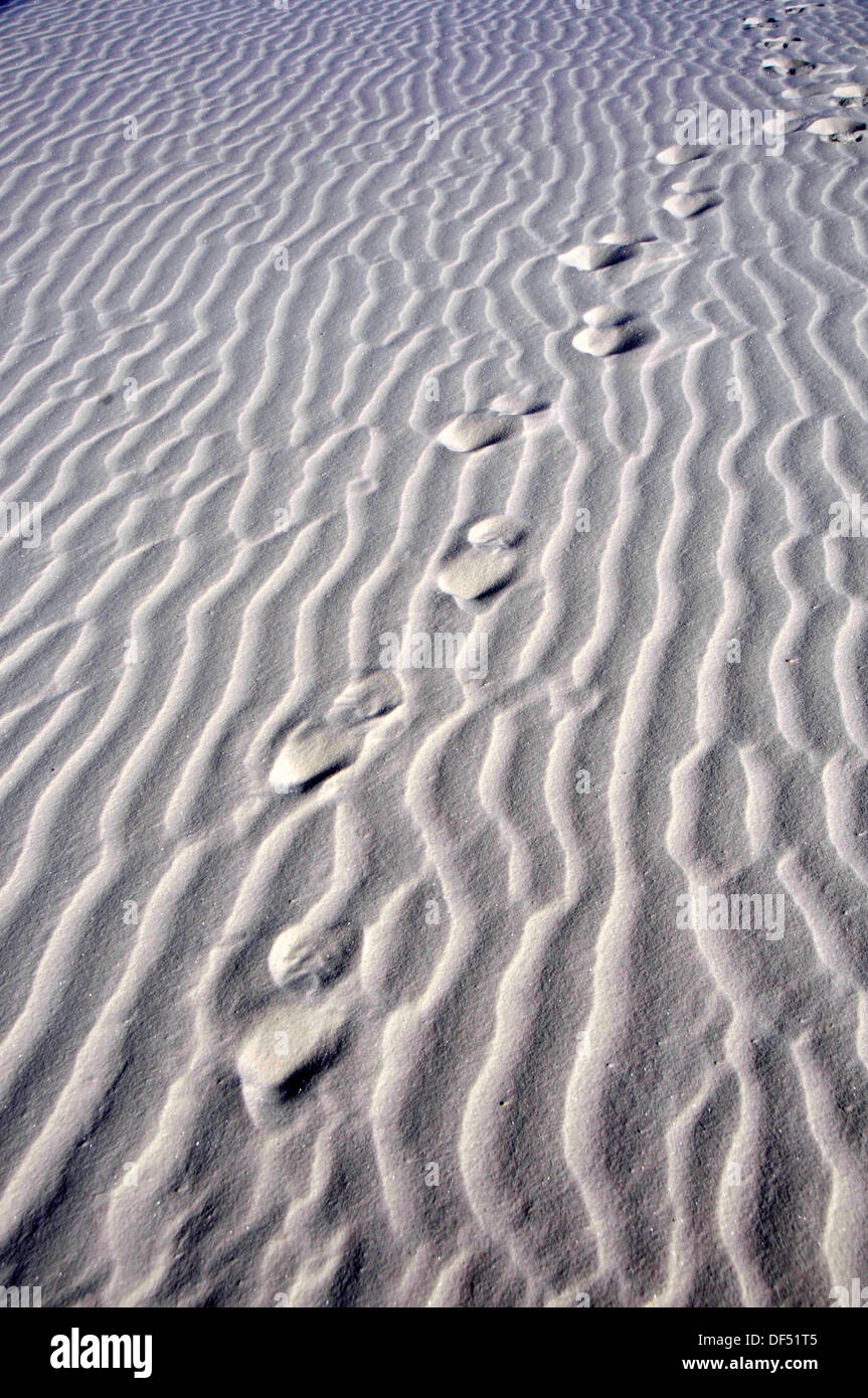 Footprints in sand White Sands National Monument New Mexico Stock Photo Alamy