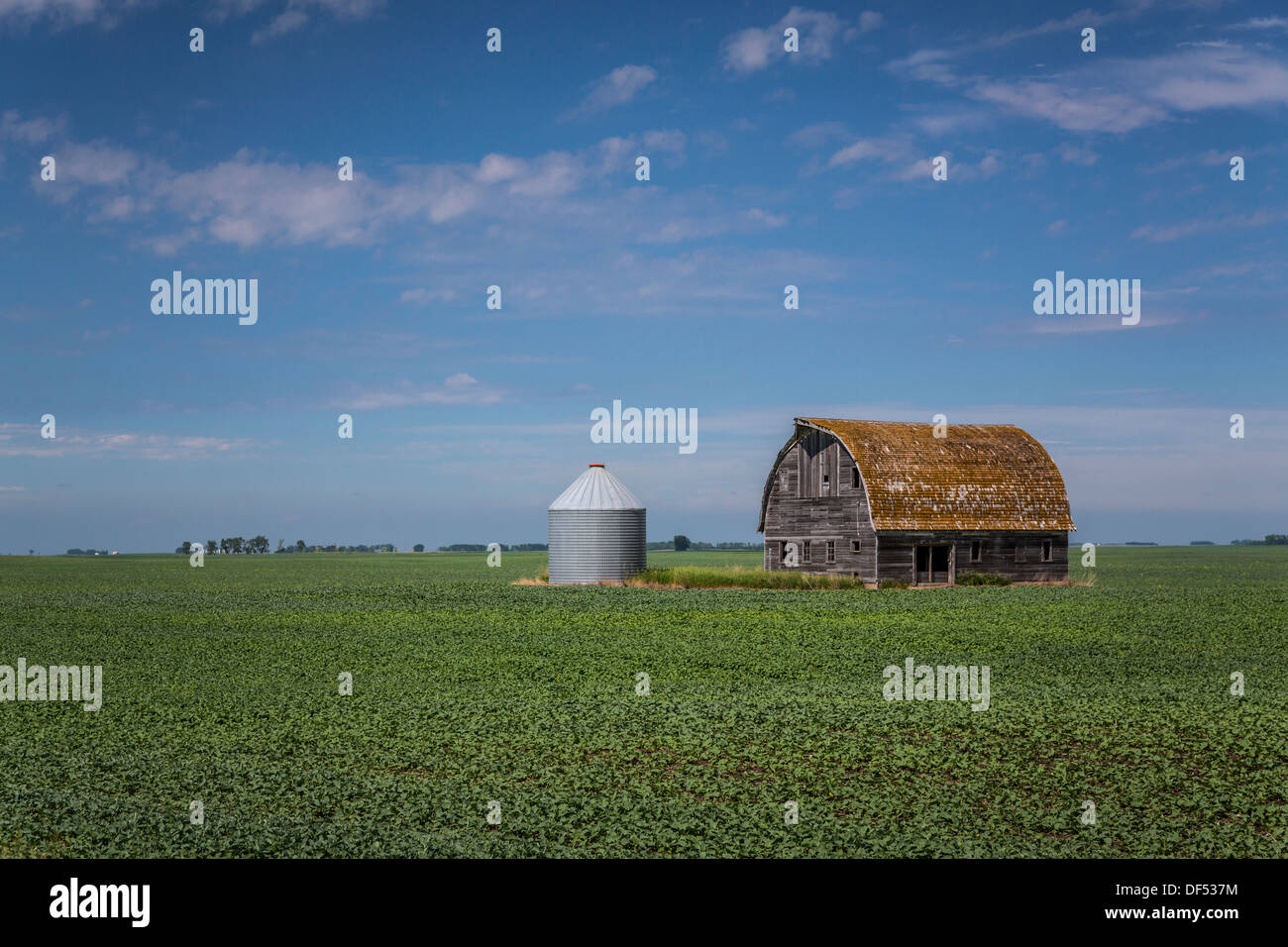 An old barn and a farm grain bin on a prairie field near Langdon, North ...