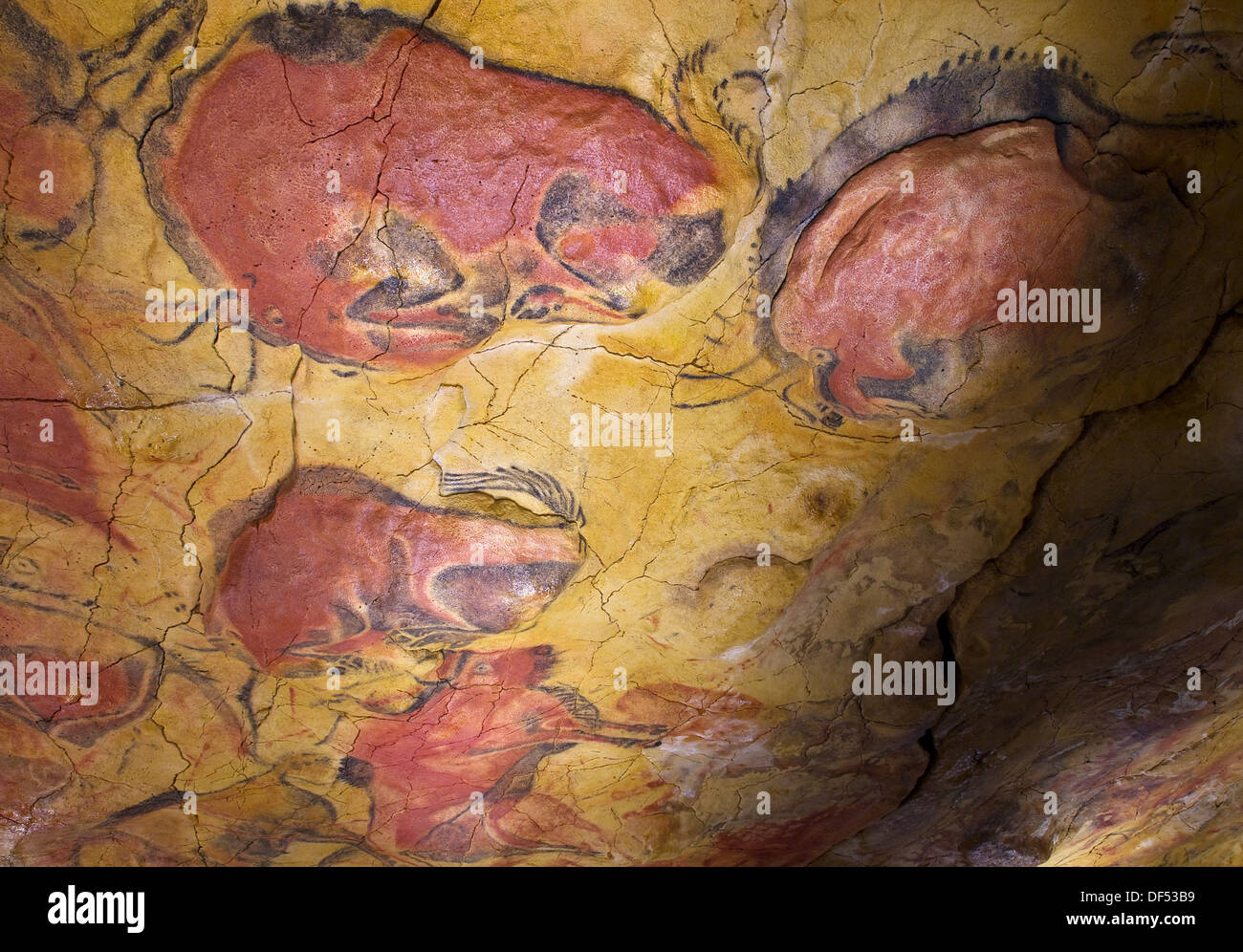 Paleolithic Age Cave Paintings