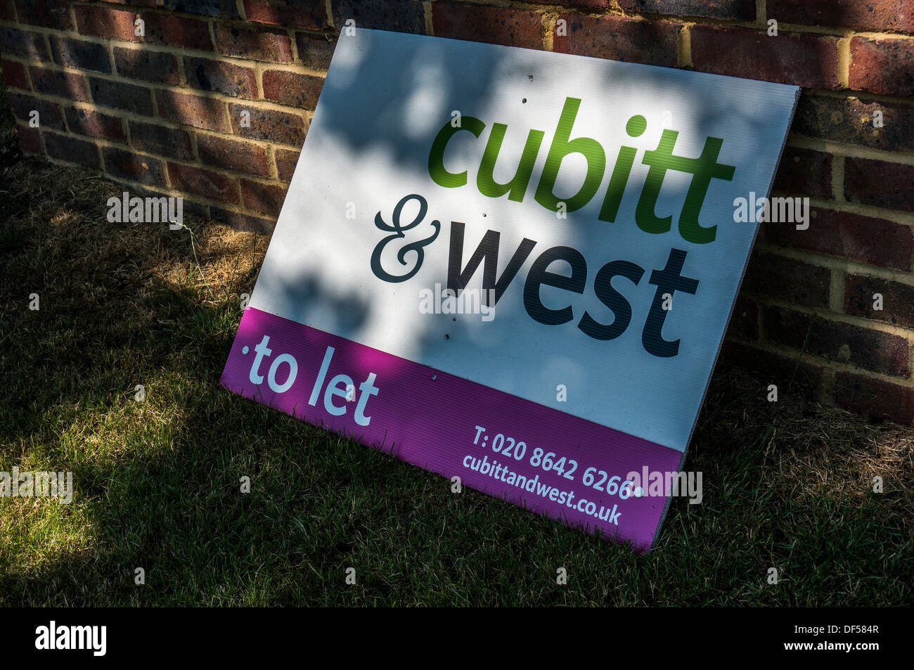 A property (real estate) to let sign in Banstead, Surrey, England, UK Stock Photo Alamy
