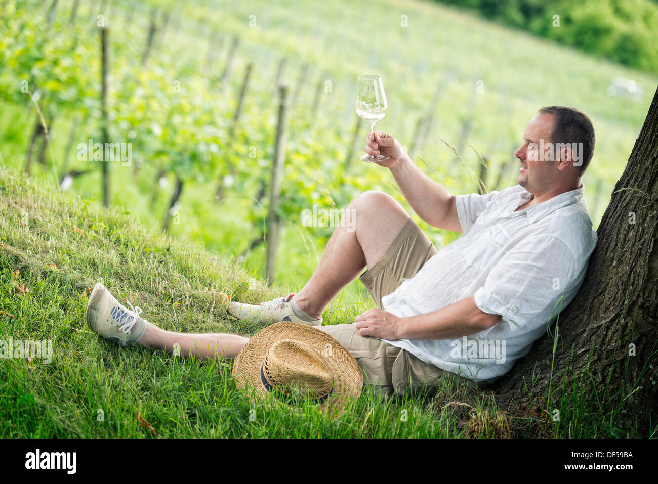 winemaker tasting a glass white wine in the vineyard Stock Photo